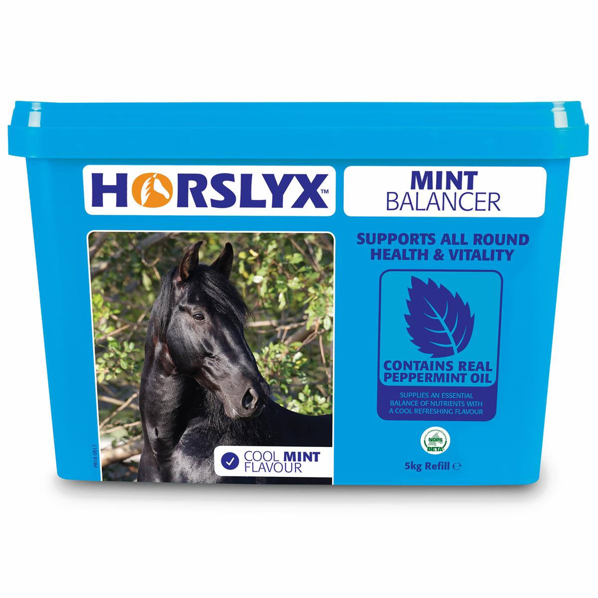 Derby Horslyx Mint Leckstein für Pferde, 5 kg