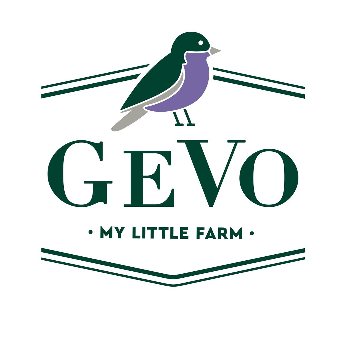 GEVO GmbH