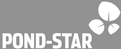Pond-Star