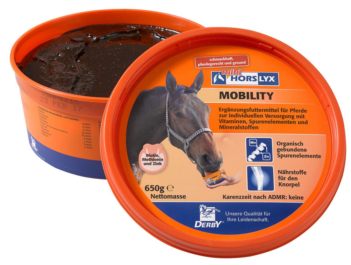 Derby® Horslyx Mobility Leckstein für Pferde, 650 g