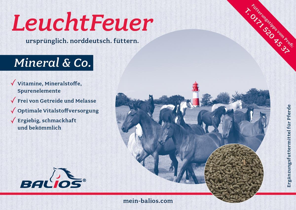 Balios Leuchtfeuer Mineral & Co., 25 kg