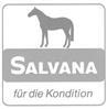 Salvana Logo